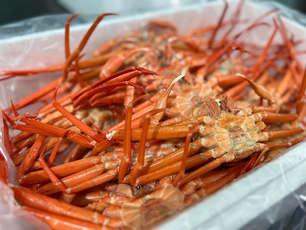 후기좋왔던**달달하기로 유명한 연지홍게3kg(10미내외)-[4월24일/금요일수령]