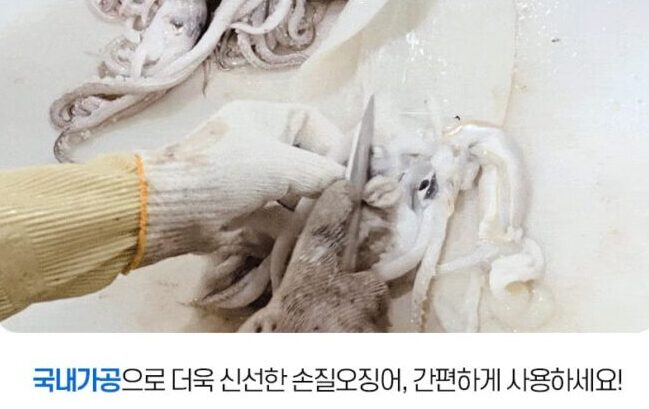 진공팩*손질 오징어 500g 내외(3미~4미)-[6월11일/목요일수령]